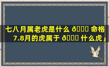 七八月属老虎是什么 🐒 命格「7.8月的虎属于 🐒 什么虎」
